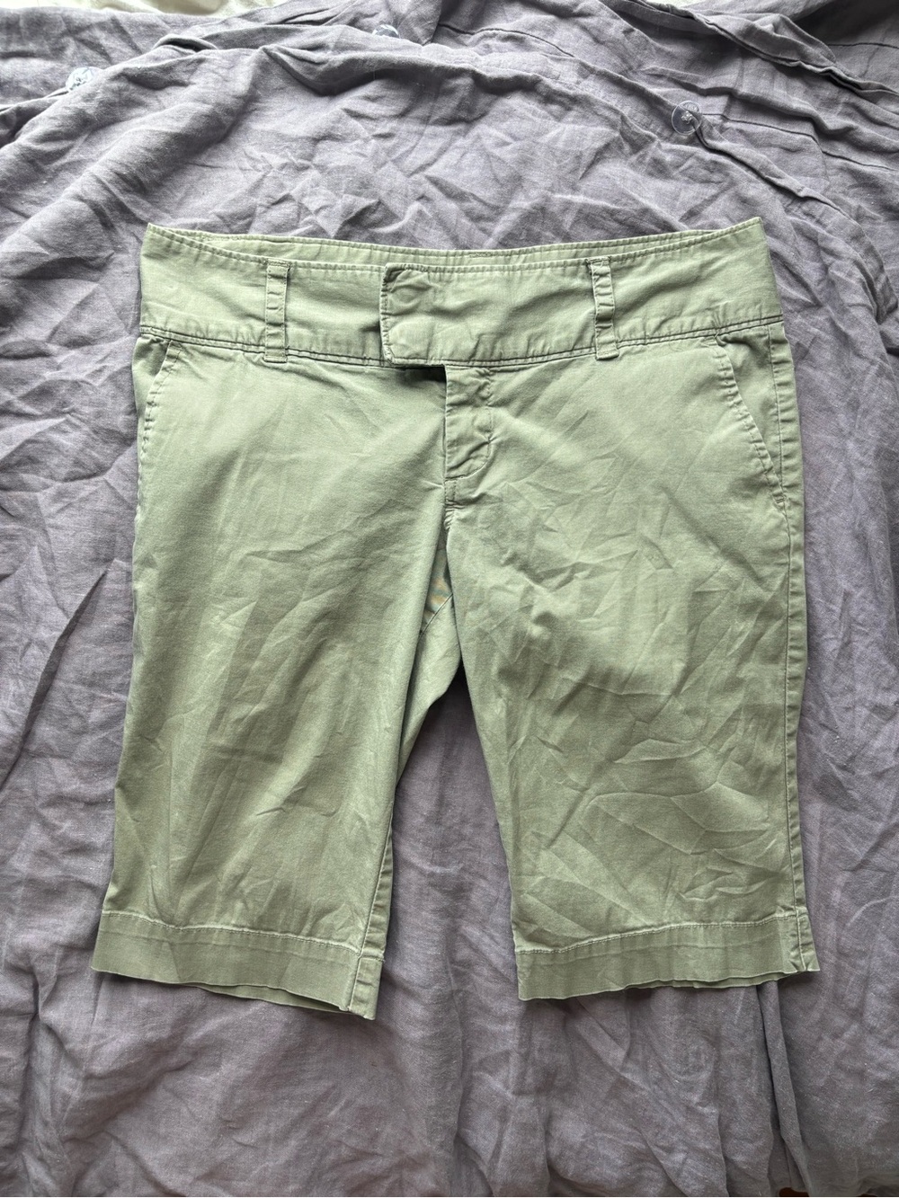 Roxy Light Green Casual Shorts
